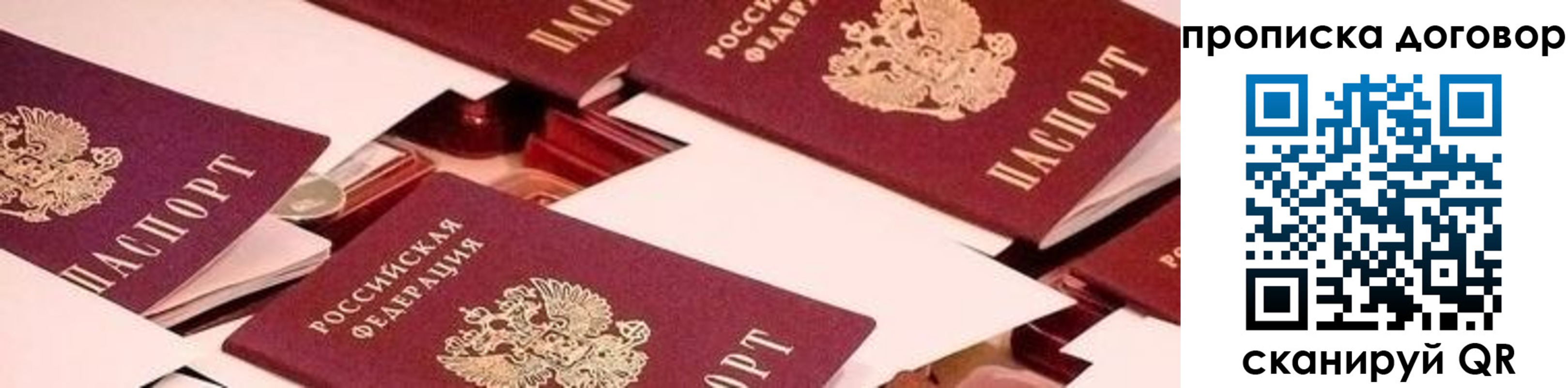 прописка для школы в Лосино-Петровском